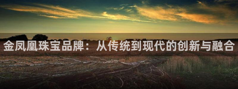 新宝5的网址