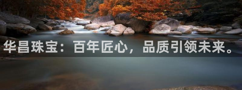 新宝5娱乐没