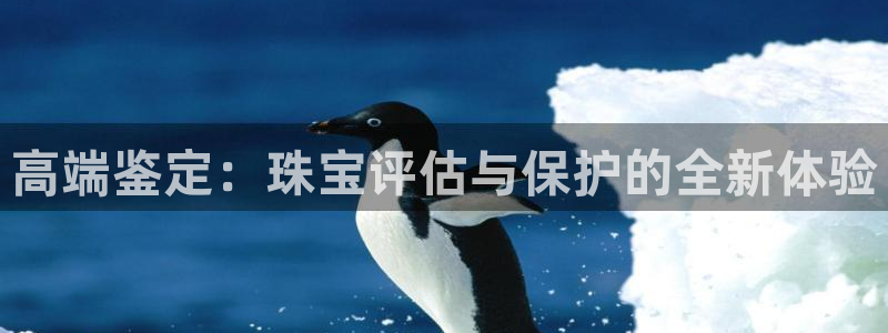 新宝5平台注册公司：高端鉴定：珠宝评估与保护的全新体验
