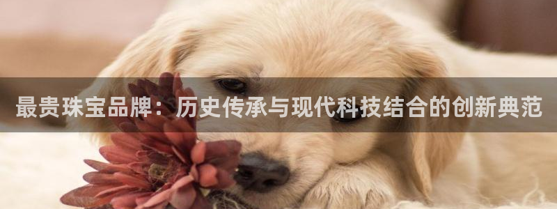 新宝5登录霸：最贵珠宝品牌：历史传承与现代科技结合的创新典范