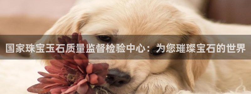 新宝5下载app