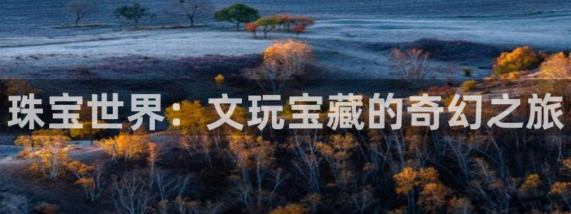 新宝那2O5O5O