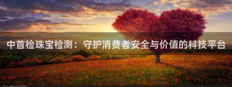 新宝5娱乐招商：中首检珠宝检测：守护消费者安全与价值的科技平台