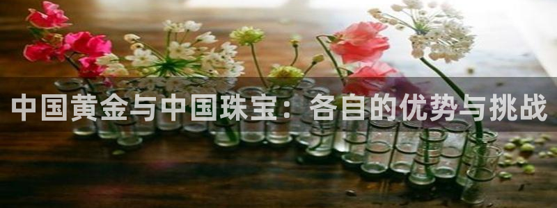 新宝5日谢29999：中国黄金与中国珠宝：各自的优势与挑战