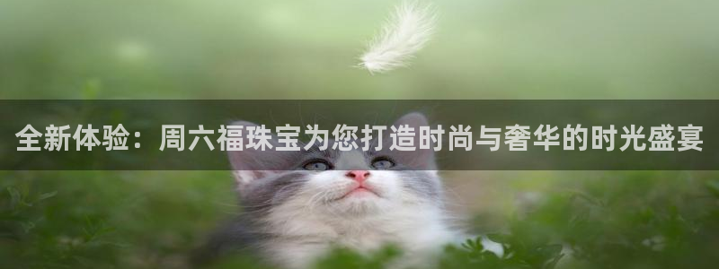 新宝5挂机软件：全新体验：周六福珠宝为您打造时尚与奢华的时光盛宴