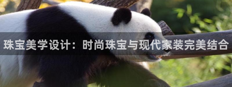 新宝5公司：珠宝美学设计：时尚珠宝与现代家装完美结合