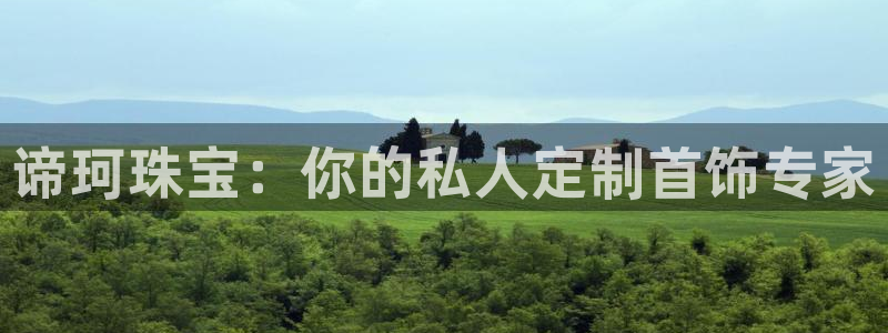 新宝5平台注册公司：谛珂珠宝：你的私人定制首饰专家