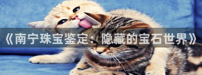 皇冠新宝5：《南宁珠宝鉴定：隐藏的宝石世界》
