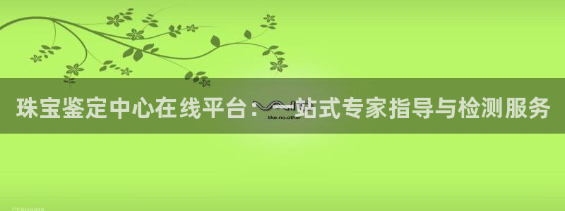 新宝5网站：珠宝鉴定中心在线平台：一站式专家指导与检测服务
