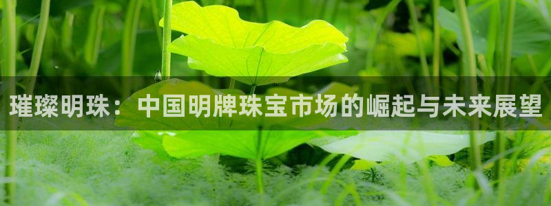 新宝5下载app：璀璨明珠：中国明牌珠宝市场的崛起与未来展望