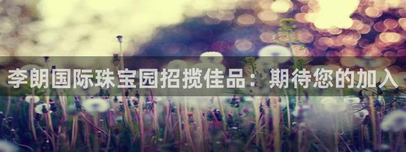 新宝5入口：李朗国际珠宝园招揽佳品：期待您的加入