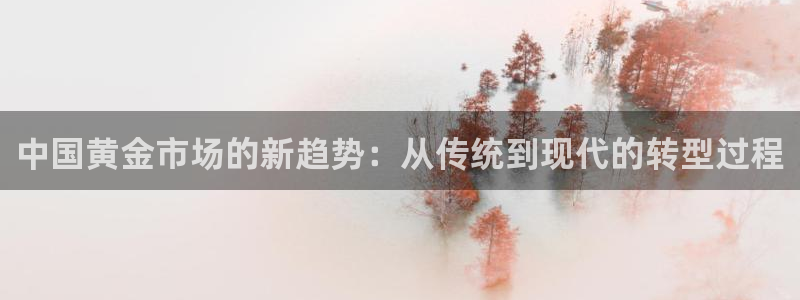 新宝5d：中国黄金市场的新趋势：从传统到现代的转型过程