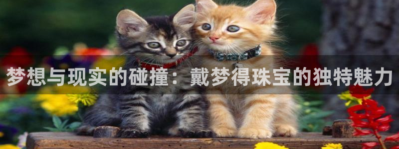 老新宝5授权登录：梦想与现实的碰撞：戴梦得珠宝的独特魅力