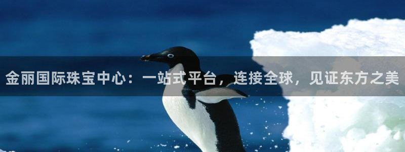 新宝5娱乐登录：金丽国际珠宝中心：一站式平台，连接全球，见证东方之美