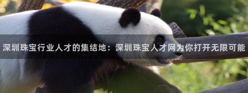 新宝5怎么下载到桌面：深圳珠宝行业人才的集结地：深圳珠宝人才网为你打开无限可能