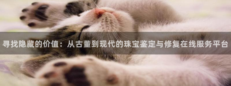 新宝5下载网址：寻找隐藏的价值：从古董到现代的珠宝鉴定与修复在线服务平台