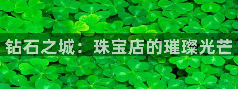新宝5娱乐网址：钻石之城：珠宝店的璀璨光芒