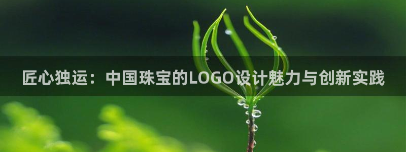 新宝3得74OO5：匠心独运：中国珠宝的LOGO设计魅力与创新实践