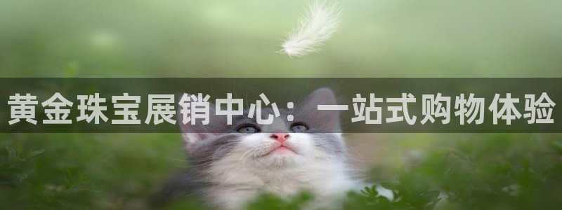 新宝5如何下载：黄金珠宝展销中心：一站式购物体验