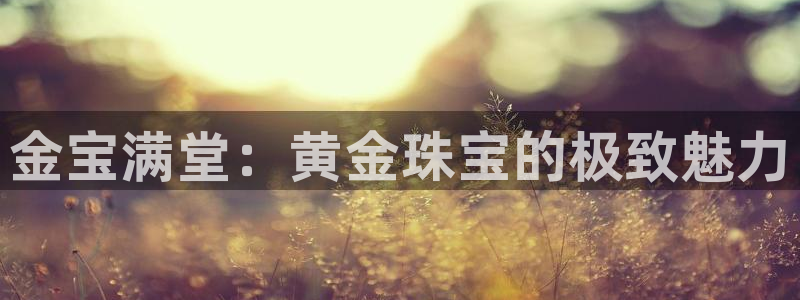 新宝5注册流程：金宝满堂：黄金珠宝的极致魅力