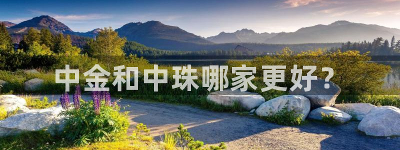 新宝5平台注册：中金和中珠哪家更好？
