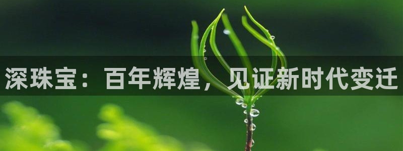 新宝5官网平台：深珠宝：百年辉煌，见证新时代变迁