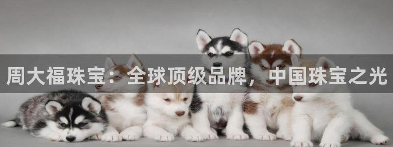 新宝5下载官方：周大福珠宝：全球顶级品牌，中国珠宝之光