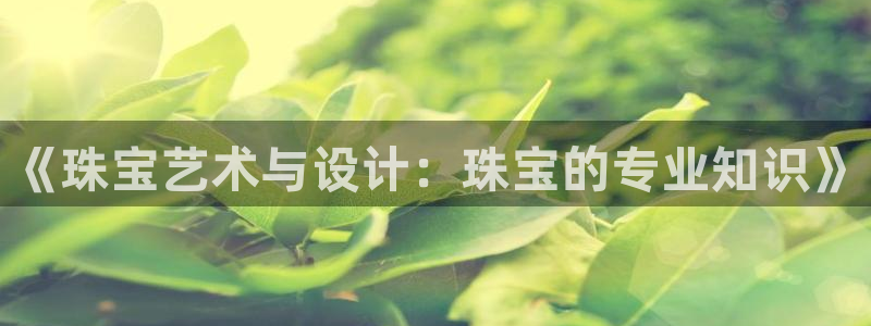 新宝5测速登录：《珠宝艺术与设计：珠宝的专业知识》