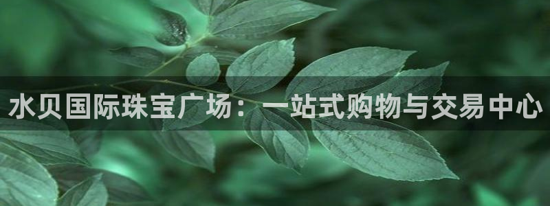 新宝5登录入口网址：水贝国际珠宝广场：一站式购物与交易中心
