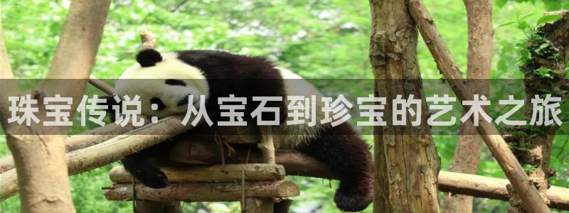 新宝5娱乐学：珠宝传说：从宝石到珍宝的艺术之旅