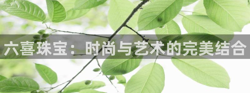 新宝5后：六喜珠宝：时尚与艺术的完美结合