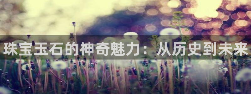 新宝5下载官方：珠宝玉石的神奇魅力：从历史到未来