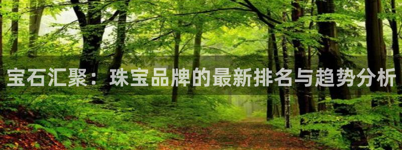 新宝那2O5O5O：宝石汇聚：珠宝品牌的最新排名与趋势分析
