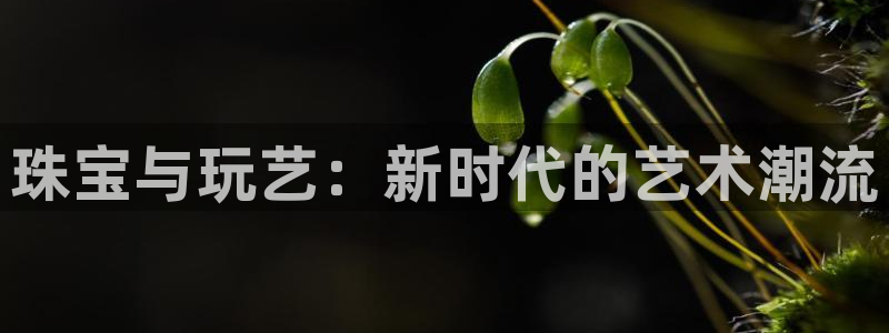 新宝5日740005蔻：珠宝与玩艺：新时代的艺术潮流