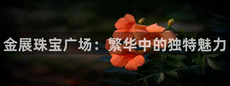 新宝5天：金展珠宝广场：繁华中的独特魅力