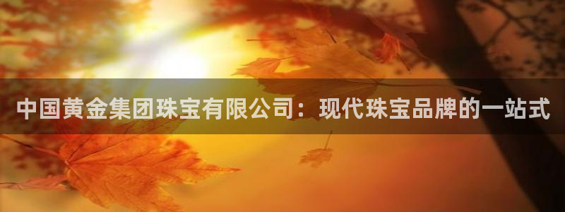 新宝5的网址：中国黄金集团珠宝有限公司：现代珠宝品牌的一站式