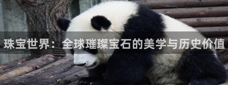 新宝5X：珠宝世界：全球璀璨宝石的美学与历史价值
