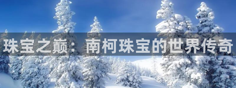 新宝5官方下载地址：珠宝之巅：南柯珠宝的世界传奇
