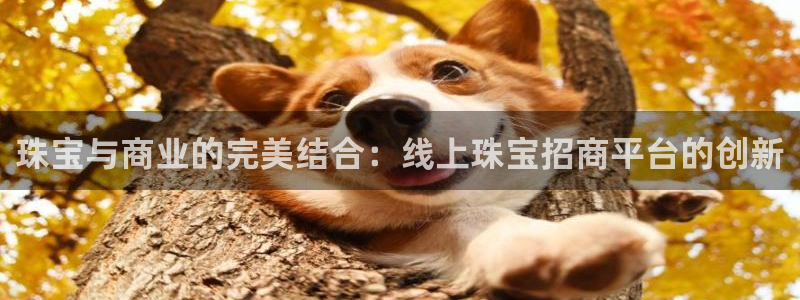 新宝5下载注册：珠宝与商业的完美结合：线上珠宝招商平台的创新