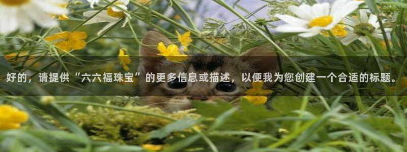 新宝5秒开：好的，请提供“六六福珠宝”的更多信息或描述，以便我为您创建一个合适的