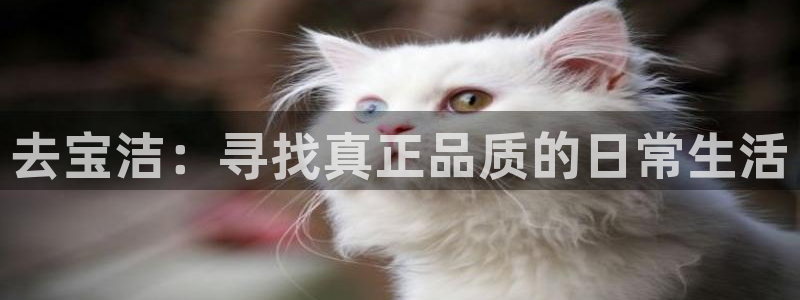 新宝h2O5O5O：去宝洁：寻找真正品质的日常生活
