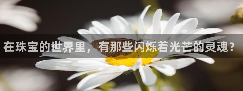 新宝5_测：在珠宝的世界里，有那些闪烁着光芒的灵魂？