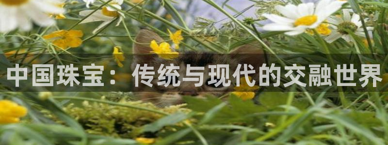新宝5玩法：中国珠宝：传统与现代的交融世界
