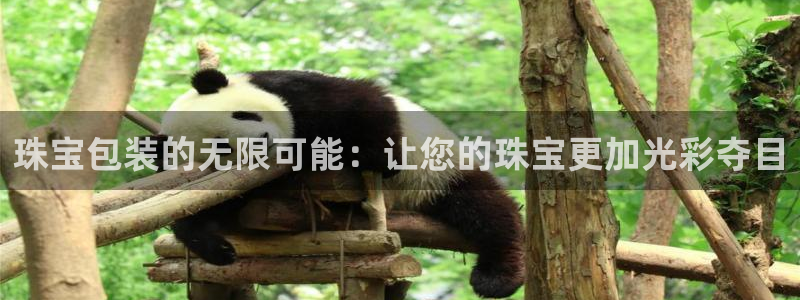 新宝5为啥开：珠宝包装的无限可能：让您的珠宝更加光彩夺目