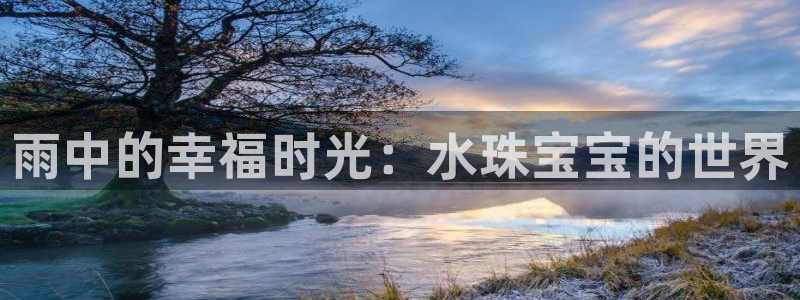 新宝5直属：雨中的幸福时光：水珠宝宝的世界