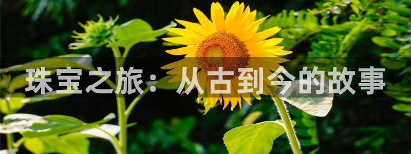 新宝5娱乐代理：珠宝之旅：从古到今的故事