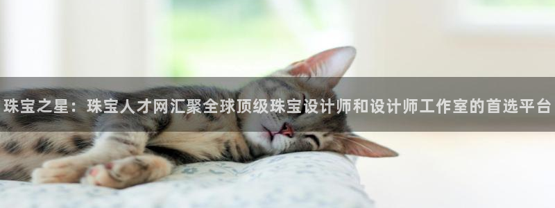 新宝5直属：珠宝之星：珠宝人才网汇聚全球顶级珠宝设计师和设计师工作室的首选平台