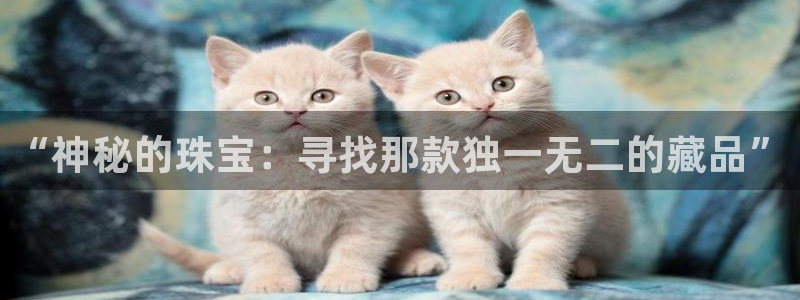 新宝5官网app：“神秘的珠宝：寻找那款独一无二的藏品”
