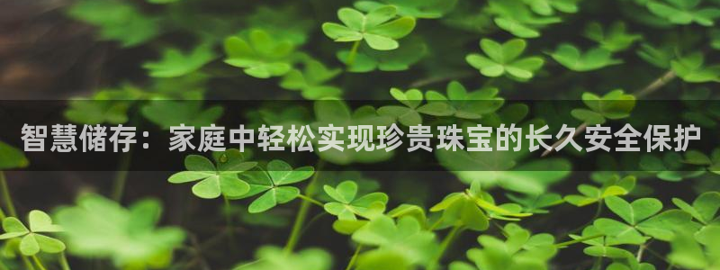 新宝5源码：智慧储存：家庭中轻松实现珍贵珠宝的长久安全保护