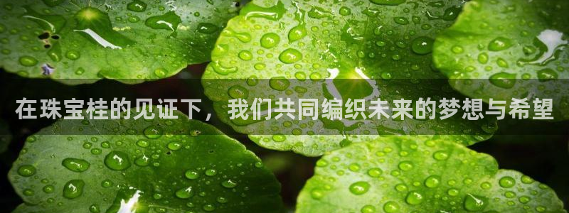 新宝5谠631257：在珠宝桂的见证下，我们共同编织未来的梦想与希望